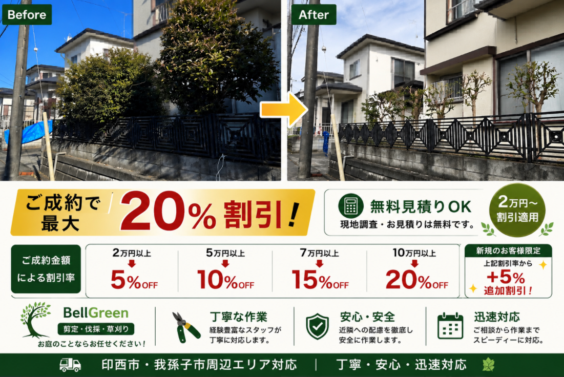 期間限定キャンペーン